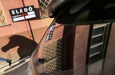 Thumbnail for 6849843