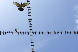 Thumbnail for 6849865