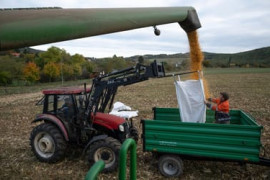 Thumbnail for 6849917