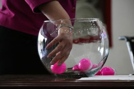 Thumbnail for 6849953