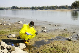 Thumbnail for 6850448