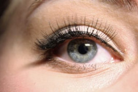 Thumbnail for 6850531