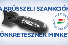 Thumbnail for 6850855