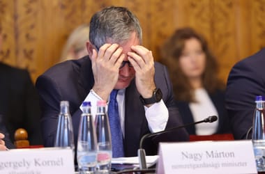 Thumbnail for 6851852