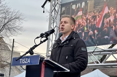 Thumbnail for 6852086