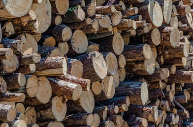 Thumbnail for 6852144