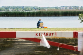 Thumbnail for 6852472