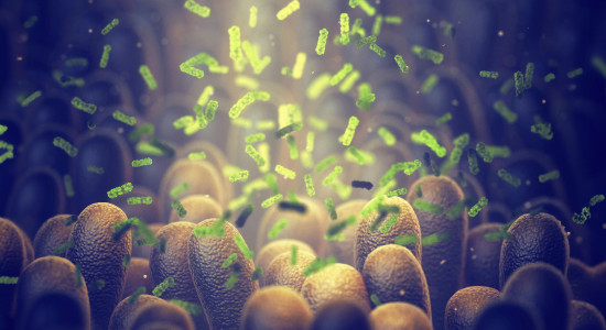 Thumbnail for 6853318