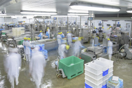 Thumbnail for 6853548