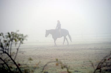 Thumbnail for 6854086