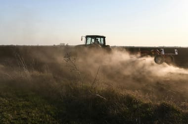 Thumbnail for 6854158