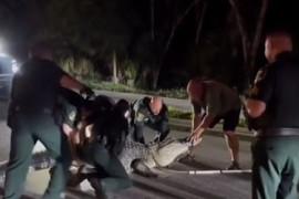 Thumbnail for 6854745