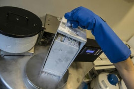 Thumbnail for 6854854