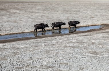 Thumbnail for 6854940