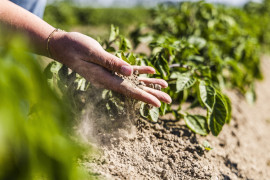 Thumbnail for 6855141