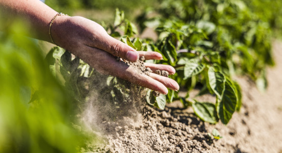 Thumbnail for 6855141