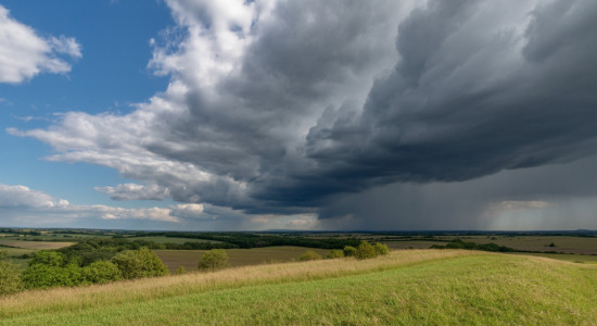 Thumbnail for 6855149