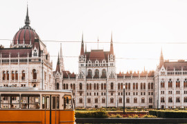 Thumbnail for 6856098