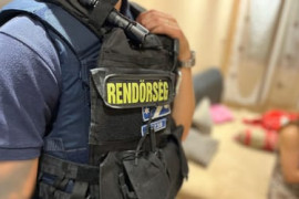 Thumbnail for 6856416