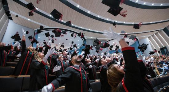 Thumbnail for 6856993