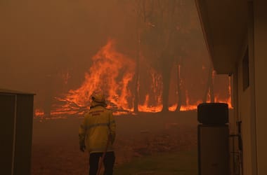 Thumbnail for 6858007