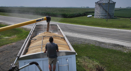 Thumbnail for 6858189