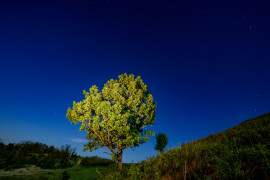 Thumbnail for 6858749