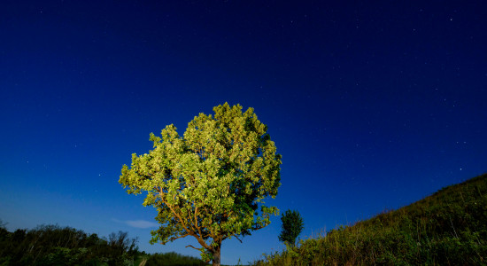 Thumbnail for 6858749