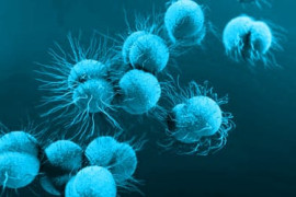 Thumbnail for 6858756