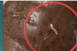 Thumbnail for 6858927