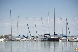 Thumbnail for 6859704