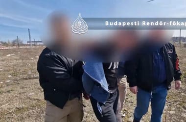 Thumbnail for 6859802