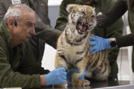 Thumbnail for 6860151