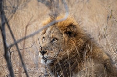 Thumbnail for 6860328