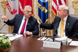 Thumbnail for 6861435