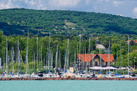 Thumbnail for 6861632