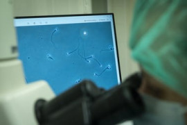 Thumbnail for 6862809