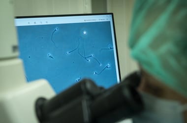 Thumbnail for 6862809