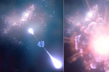 Thumbnail for 6862815