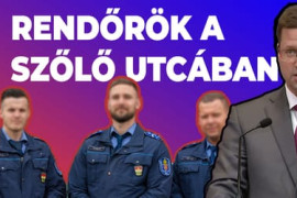 Thumbnail for 6862828