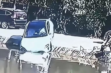 Thumbnail for 6863133