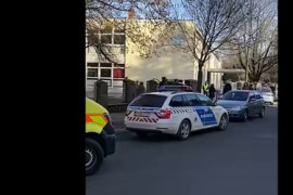 Thumbnail for 6863239