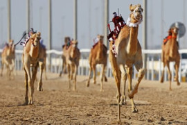 Thumbnail for 6863370