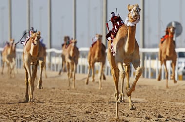 Thumbnail for 6863370