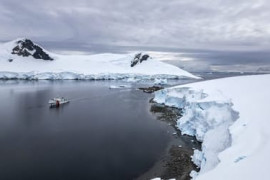 Thumbnail for 6863536