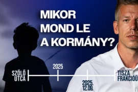 Thumbnail for 6863829