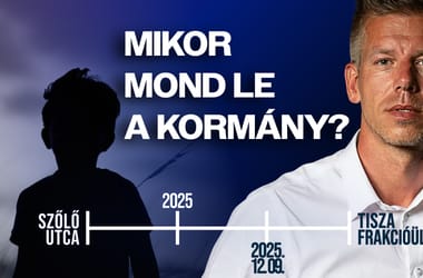 Thumbnail for 6863829