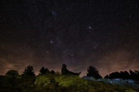 Thumbnail for 6864237