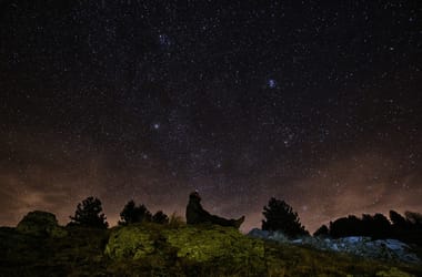 Thumbnail for 6864237