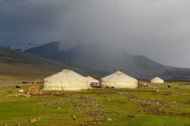 Thumbnail for 6864548